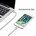  usb     -USB, iPhone Lightning, type C ( 3  1)